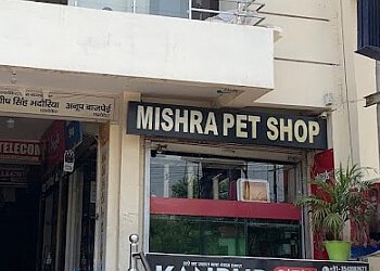 कानपुर पालतू पशुओं की दुकान Mishra Pet Shop छवि 1