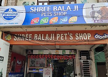 कानपुर पालतू पशुओं की दुकान Shree Balaji Pet's Shop छवि 1